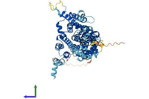 Protein Structure (PS) image for Solute Carrier Family 13 Member 2 (SLC13A2) (AA 1-586) protein (His tag) (ABIN7561461)