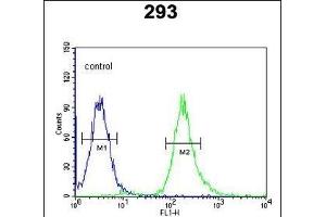 STX1A Antibody (N-term) (ABIN653770 and ABIN2843062) flow cytometric analysis of 293 cells (right histogram) compared to a negative control cell (left histogram). (STX1A Antikörper  (N-Term))