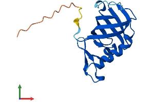 Protein Structure (PS) image for RMI2, RecQ Mediated Genome Instability 2 (RMI2) (AA 1-149) protein (His tag) (ABIN7557250)