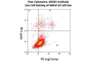 Flow Cytometry (FACS) image for anti-ATP-Binding Cassette, Sub-Family B (MDR/TAP), Member 5 (ABCB5) antibody (ABIN3002513) (ABCB5 Antikörper)