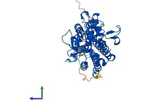 Protein Structure (PS) image for Indoleamine 2,3-Dioxygenase 1 (IDO1) (AA 1-407) protein (His tag) (ABIN7563067)