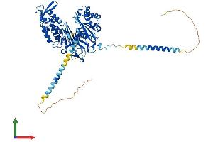 Protein Structure (PS) image for Ectonucleoside Triphosphate diphosphohydrolase 4 (ENTPD4) (AA 1-616) protein (His tag) (ABIN7553843)
