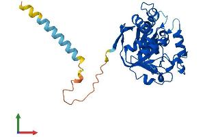 Protein Structure (PS) image for alpha-N-Acetylgalactosaminide alpha-2,6-Sialyltransferase 3 (SIA7C) (AA 1-305) protein (His tag) (ABIN7546123)