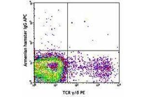 Flow Cytometry (FACS) image for anti-TCR V Gamma1.1/Cr4 antibody (APC) (ABIN2658408) (TCR V Gamma1.1/Cr4 Antikörper (APC))