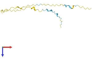G Antigen 2A Protein (GAGE2A) (AA 1-116) (His tag)