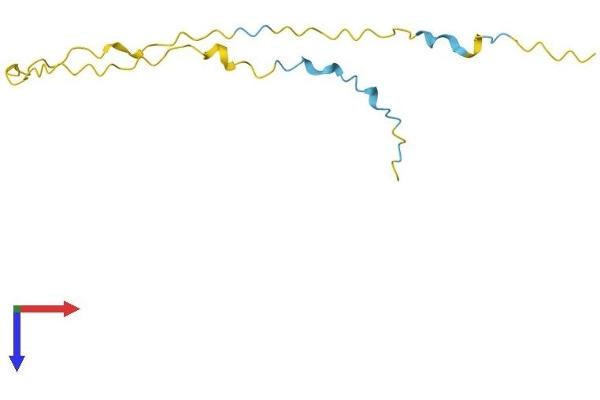 G Antigen 2A Protein (GAGE2A) (AA 1-116) (His tag)