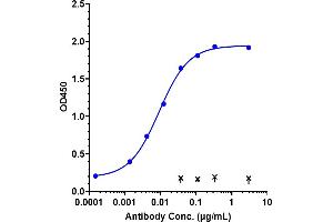 Immobilized human IGF1R His at 2 μg/mL can bind Anti-IGF1R / CD221 Reference Antibody (teprotumumab), EC50=0.