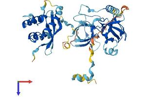 NCF1 Protein (AA 1-390) (His tag)