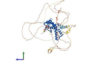 Protein Structure (PS) image for Nuclear Factor I/B (NFIB) (AA 1-570) protein (His tag) (ABIN7556835)