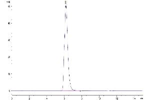 The purity of Human B7-H2 is greater than 95 % as determined by SEC-HPLC. (ICOSLG Protein (AA 19-258) (Fc Tag))