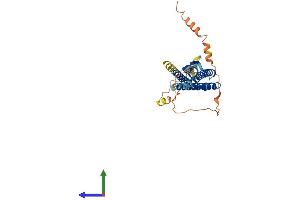 Protein Structure (PS) image for Germ Cell Associated 1 (GSG1) (AA 1-349) protein (His tag) (ABIN7548105)