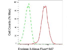 Flow cytometric analysis of Enolase 3 expression in HepG2 cells using Enolase 3 antibody (ABIN7798451), 1:2,000). (Rekombinanter ENO3 Antikörper)