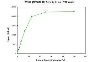 Bioactivity measured with Activity Assay