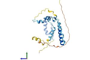 AlphaFold protein structure predicition of Human Recombinant ZC2HC1B Protein, UniprotID Q5TFG8