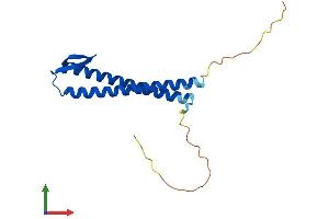 Protein Structure (PS) image for Prefoldin Subunit 2 (PFDN2) (AA 1-154) protein (His tag) (ABIN7562584)