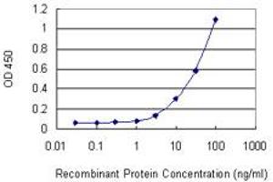 Detection limit for recombinant GST tagged ITGAM is 1 ng/ml as a capture antibody. (CD11b Antikörper  (AA 111-220))