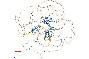 RBM20 Protein (AA 1-1227) (His tag)