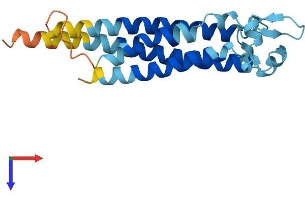 TM4SF1 Protein (AA 1-202) (His tag)