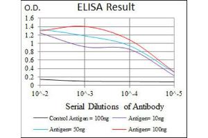 ELISA image for anti-CD6 (CD6) (AA 472-668) antibody (ABIN1846113)