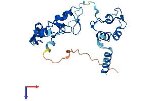 RNF166 Protein (AA 1-237) (His tag)