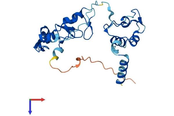 RNF166 Protein (AA 1-237) (His tag)