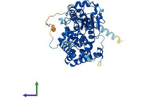 Protein Structure (PS) image for Acid Phosphatase-Like 2 (ACPL2) (AA 1-480) protein (His tag) (ABIN7558622)