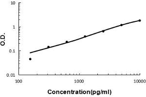 Sandwich ELISA - Recombinant human Tryptase/TPSAB1,B2 protein standard curve.