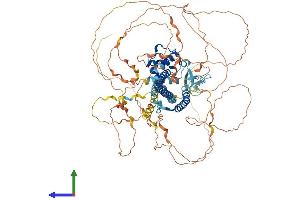 AlphaFold protein structure predicition of Mouse Recombinant Micall1 Protein, UniprotID Q8BGT6