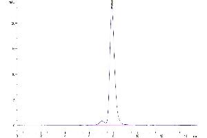 Size-exclusion chromatography-High Pressure Liquid Chromatography (SEC-HPLC) image for CUB Domain Containing Protein 1 (CDCP1) (AA 30-666) protein (Fc Tag) (ABIN7274294)