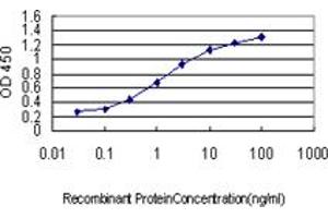 Detection limit for recombinant GST tagged BTBD9 is approximately 0. (BTBD9 Antikörper  (AA 2-70))