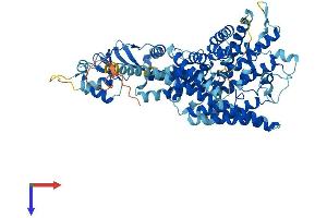 CLCNKB Protein (AA 1-687) (His tag)
