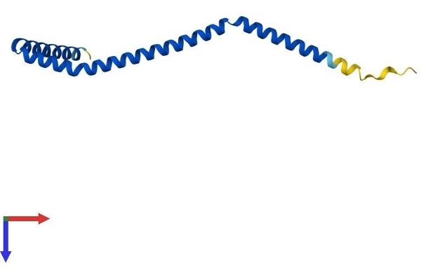 MEF2BNB Protein (AA 1-120) (His tag)