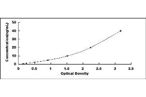 Typical standard curve (GPBAR1 ELISA Kit)