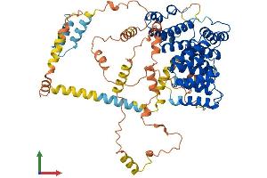 Protein Structure (PS) image for Peroxisomal Biogenesis Factor 5 (PEX5) (AA 1-639) protein (His tag) (ABIN7562239)