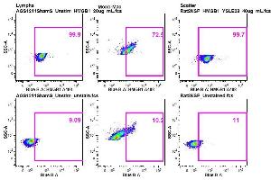 Ab staining on AGS & Rat cells, Panel 3 - HMGB1 A488 (HMGB1 Antikörper  (AA 75-170) (Alexa Fluor 488))
