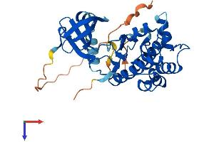 Aurora Kinase C Protein (AURKC) (AA 1-309) (His tag)