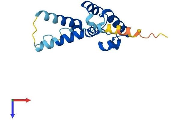 CRCP Protein (AA 1-148) (His tag)