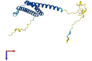 RD3 Protein (AA 1-195) (His tag)