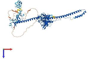 TRIM9 Protein (AA 1-710) (His tag)