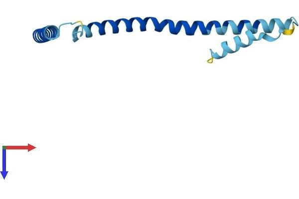 FAM33A Protein (AA 1-121) (His tag)
