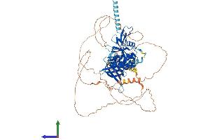 Protein Structure (PS) image for Erythrocyte Membrane Protein Band 4.1 Like 5 (EPB41L5) (AA 1-731) protein (His tag) (ABIN7558579)