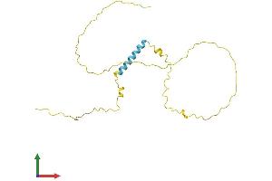 Protein Structure (PS) image for Transcription Elongation Factor A (SII)-Like 3 (TCEAL3) (AA 1-200) protein (His tag) (ABIN7544388)