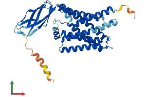 Protein Structure (PS) image for Cystinosis, Nephropathic (CTNS) (AA 1-367) protein (His tag) (ABIN7546921)
