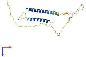 C17orf49 Protein (AA 1-172) (His tag)