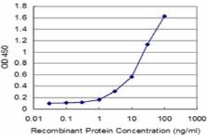 Detection limit for recombinant GST tagged FTL is approximately 1ng/ml as a capture antibody. (FTL Antikörper)