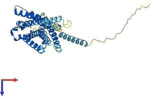 G Protein-Coupled Receptor 119 Protein (GPR119) (AA 1-335) (His tag)