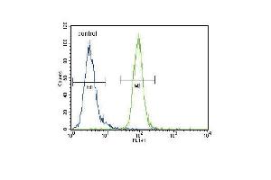 EN Antibody (Center) (ABIN650746 and ABIN2839471) flow cytometric analysis of MDA-M cells (right histogram) compared to a negative control cell (left histogram). (ENPP2 Antikörper  (AA 377-406))