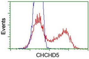 Image no. 4 for anti-Coiled-Coil-Helix-Coiled-Coil-Helix Domain Containing 5 (CHCHD5) (AA 1-110) antibody (ABIN1490560) (CHCHD5 Antikörper  (AA 1-110))