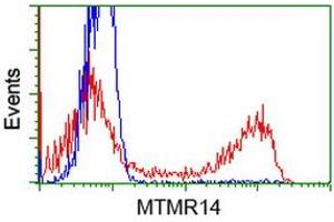 Flow Cytometry (FACS) image for anti-Myotubularin Related Protein 14 (MTMR14) antibody (ABIN1499587)