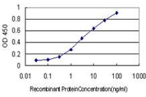Detection limit for recombinant GST tagged FOXR2 is approximately 0. (FOXR2 Antikörper  (AA 1-311))